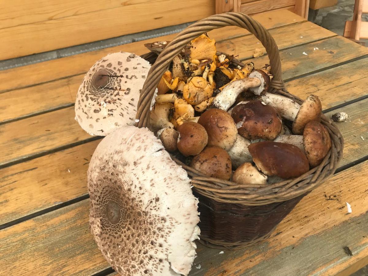Bacowka